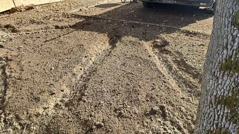 Air spade trench in a tree root zone.