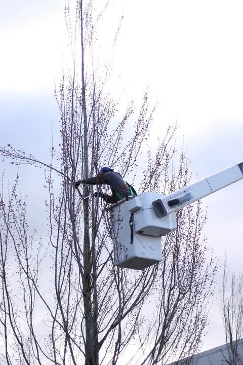 Operator making structural pruning cuts from a bucket.