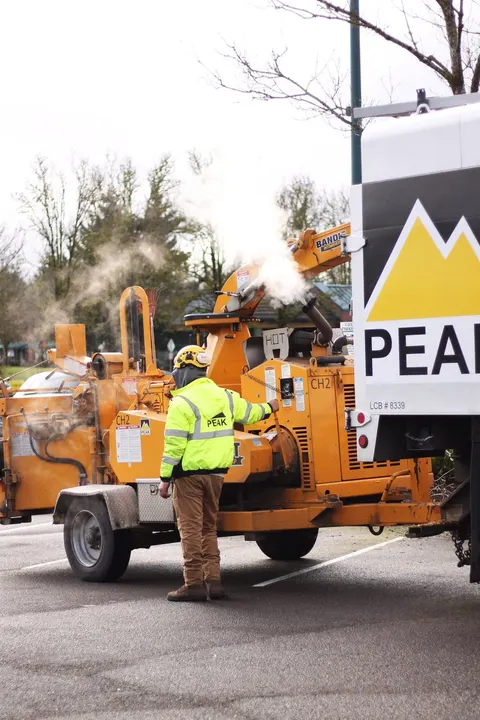 Chipper operator in hi vis beside a Peak truck.