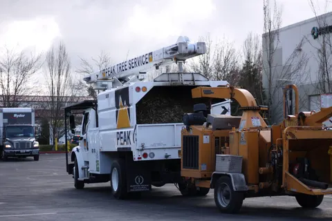 Peak aerial lift truck and chipper loaded with chips.
