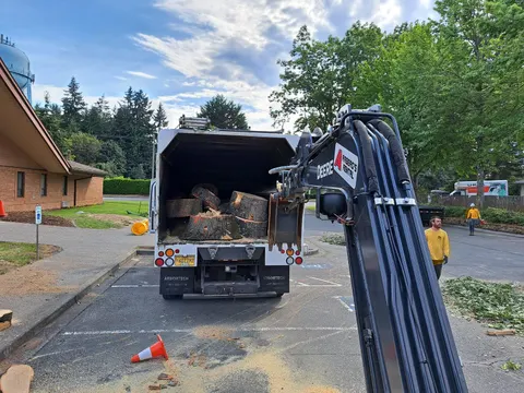 Log loader truck with removed wood.