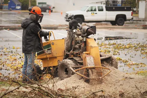 Stump grinder operator in helmet, face shield, and protective gear.