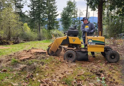 Stump grinder operator on an open wooded lot.
