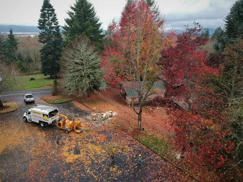Aerial view of a removal site with chipper truck and crew.