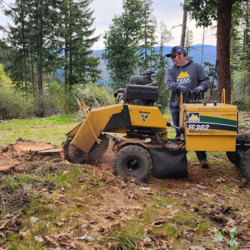 Stump Grinding & Removal
